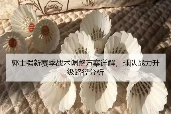 郭士强新赛季战术调整方案详解，球队战力升级路径分析