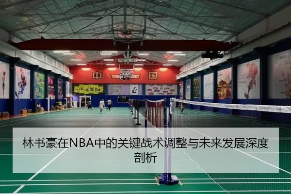 林书豪在NBA中的关键战术调整与未来发展深度剖析